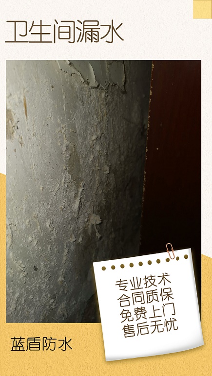 血泪教训@卫生间漏水墙壁反碱先别砸砖